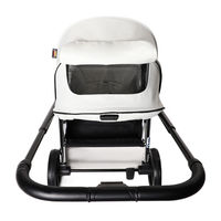 Коляска 2 в 1 Labala Raiz