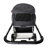 Коляска 2 в 1 Labala Raiz