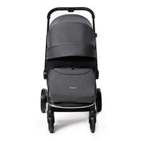 Коляска 2 в 1 Labala Raiz