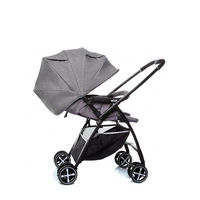 Коляска Joie Sma Baggi DLX W/RC