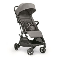 Прогулочная коляска Inglesina Now, NEW