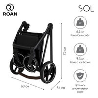 Коляска 2 в 1 Roan Sol