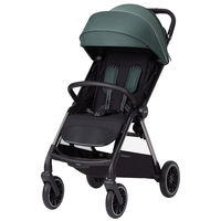 Прогулочная коляска Carrello Delta CRL-5517