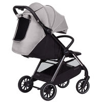 Прогулочная коляска Carrello Delta CRL-5517