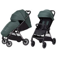 Прогулочная коляска Carrello Delta CRL-5517