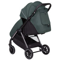 Прогулочная коляска Carrello Delta CRL-5517