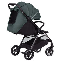 Прогулочная коляска Carrello Delta CRL-5517