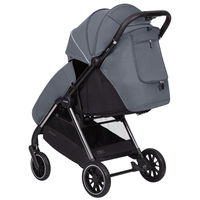 Прогулочная коляска Carrello Delta CRL-5517