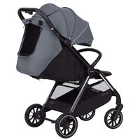 Прогулочная коляска Carrello Delta CRL-5517