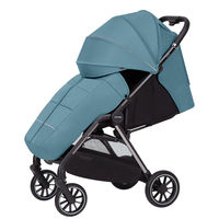 Прогулочная коляска Carrello Delta CRL-5517