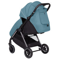 Прогулочная коляска Carrello Delta CRL-5517