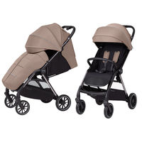 Прогулочная коляска Carrello Delta CRL-5517