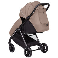 Прогулочная коляска Carrello Delta CRL-5517