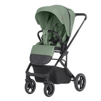 Коляска прогулочная Carrello Alfa CRL-5508 / 2024