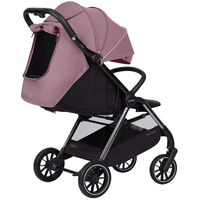 Прогулочная коляска Carrello Delta CRL-5517
