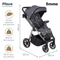 Прогулочная коляска Pituso Emma/PU