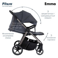 Прогулочная коляска Pituso Emma/PU
