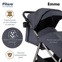 Прогулочная коляска Pituso Emma/PU