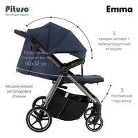 Прогулочная коляска Pituso Emma/PU