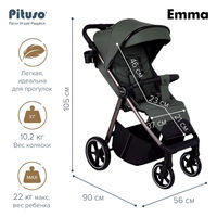 Прогулочная коляска Pituso Emma/PU