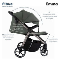 Прогулочная коляска Pituso Emma/PU