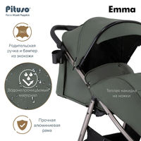 Прогулочная коляска Pituso Emma/PU