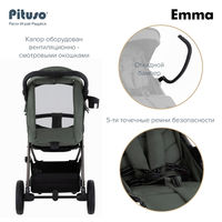 Прогулочная коляска Pituso Emma/PU