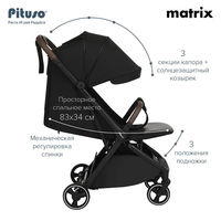 Прогулочная коляска Pituso Matrix