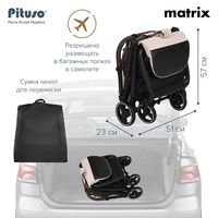 Прогулочная коляска Pituso Matrix