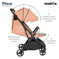 Прогулочная коляска Pituso Matrix