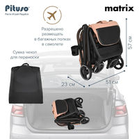 Прогулочная коляска Pituso Matrix