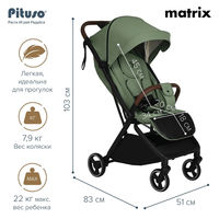 Прогулочная коляска Pituso Matrix