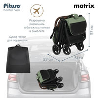 Прогулочная коляска Pituso Matrix