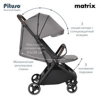 Прогулочная коляска Pituso Matrix