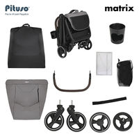 Прогулочная коляска Pituso Matrix
