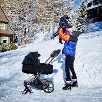 Лыжи-полозья Priam Skies для коляски Cybex Priam
