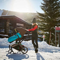 Лыжи-полозья Priam Skies для коляски Cybex Priam