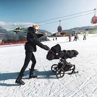 Лыжи-полозья Priam Skies для коляски Cybex Priam