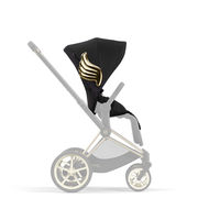 Коляска с прогулочным блоком и рамой Cybex Priam IV FE JS Wings