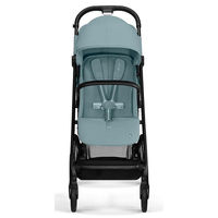 Коляска прогулочная Cybex Beezy (с дождевиком и бампером)