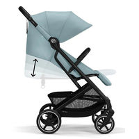 Коляска прогулочная Cybex Beezy (с дождевиком и бампером)