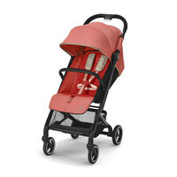 Коляска прогулочная Cybex Beezy (с дождевиком и бампером)