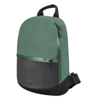 Коляска 2 в 1 Carrello Omega+
