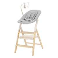 Стульчик для кормления Carrello Ergo CRL-16701 4 в 1
