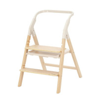 Стульчик для кормления Carrello Ergo CRL-16701 4 в 1