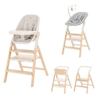 Стульчик для кормления Carrello Ergo CRL-16701 4 в 1