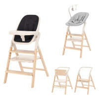 Стульчик для кормления Carrello Ergo CRL-16701 4 в 1