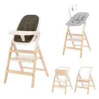 Стульчик для кормления Carrello Ergo CRL-16701 4 в 1