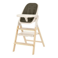 Стульчик для кормления Carrello Ergo CRL-16701 4 в 1