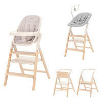 Стульчик для кормления Carrello Ergo CRL-16701 4 в 1